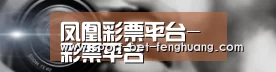 公司动态