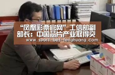 “凤凰彩票官网”工信部副部长:中国芯片产业取得突破(图1) 凤凰彩票平台