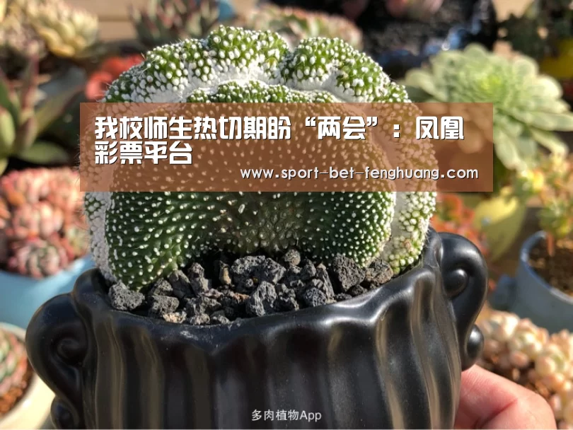 我校师生热切期盼“两会”:凤凰彩票平台(图2) 凤凰彩票平台